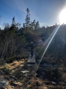 Studerende i naturskønt skovområde med fokus på friluftsliv, fællesskab og outdoor oplevelser i naturen.